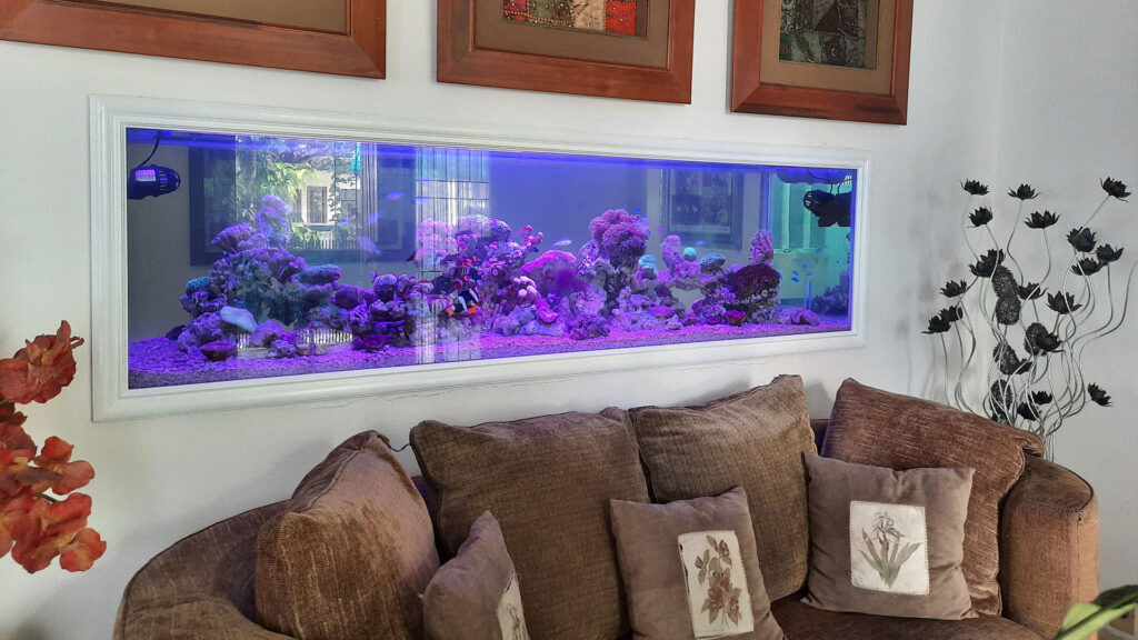 Aquarium Custom